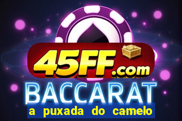 a puxada do camelo no jogo do bicho